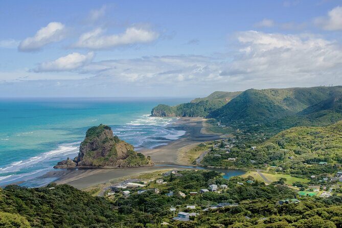 Auckland West Coast Half-Day Private Tour - Key Highlights You’ll Care About