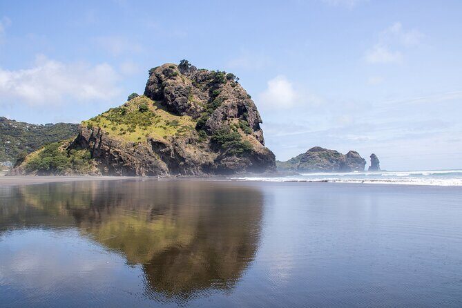 Auckland West Coast Half-Day Private Tour - Private SUV Comfort and Realistic Scenic Photo Stops