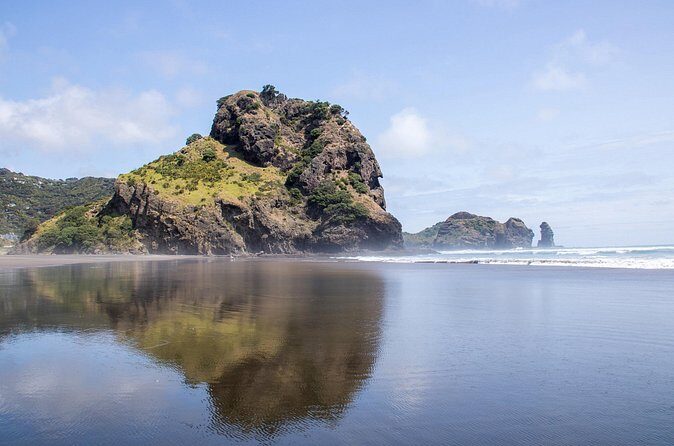 Auckland West Coast Half-Day Private Tour - Price and Value: Is $176.27 Per Person Fair?