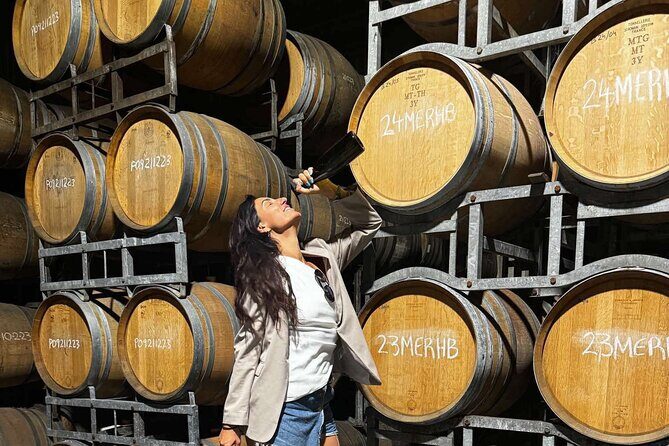 Auckland West Vineyard Tour with lunch and tastings incl - Quick take: what makes this Auckland West tour work