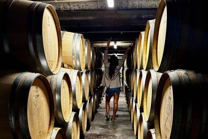 Auckland West Vineyard Tour with lunch and tastings incl - Pickup, timing, and how to get your best views