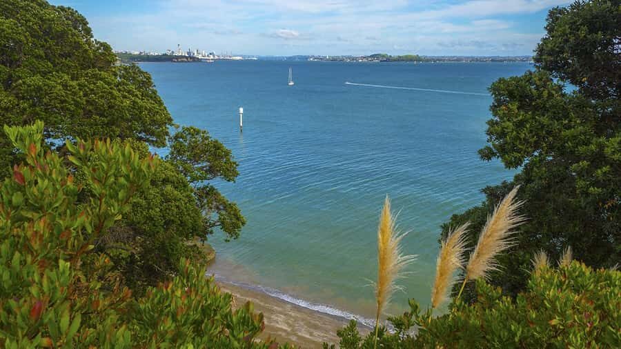 Auckland: Wild West Coast, Black Sand Beaches Tour inc Lunch - Muriwai Beach: what to do with your 45 minutes