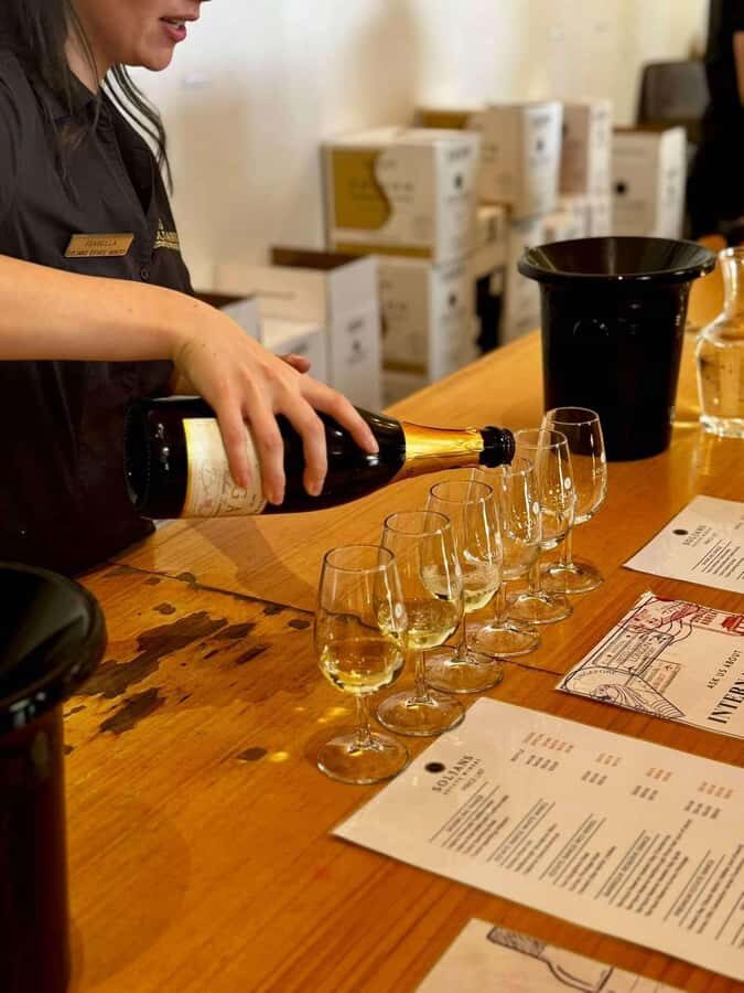 Auckland: Wine region tour with tastings and gourmet lunch - Key highlights you’ll feel right away