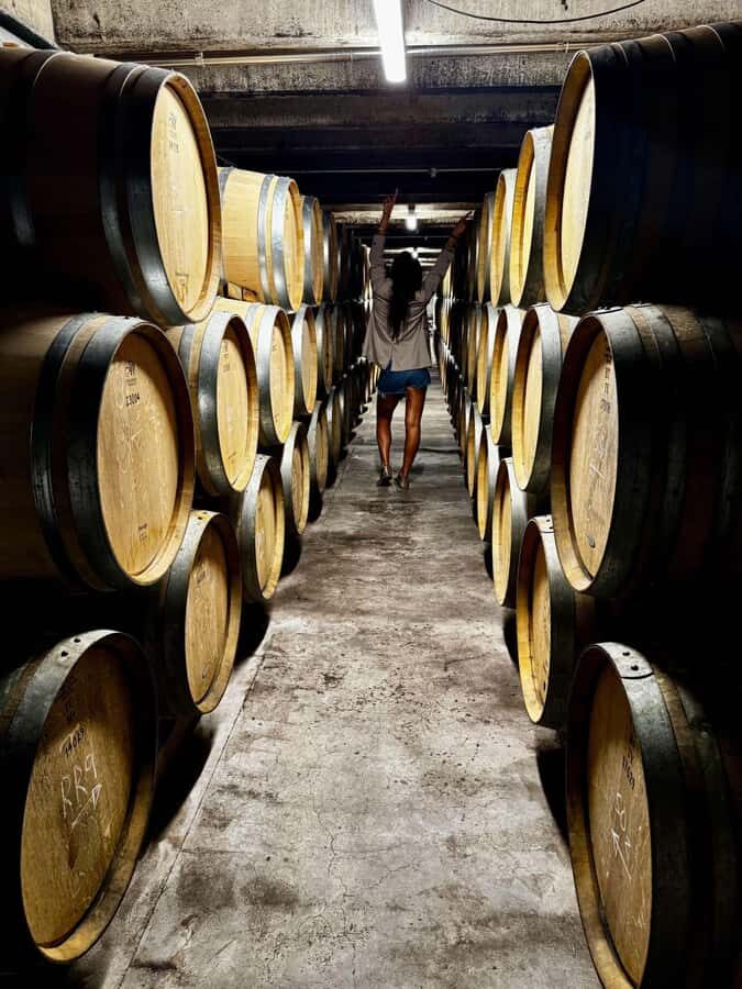 Auckland: Wine region tour with tastings and gourmet lunch - Harbour Bridge to West Auckland: the ride that sets the mood