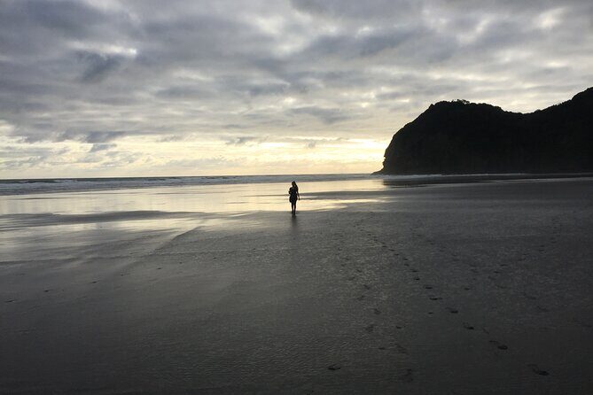 Auckland's Wild West Coast & Black Sand Beaches Tour inc Lunch - Weather Reality: When Rain and Wind Threaten the Schedule