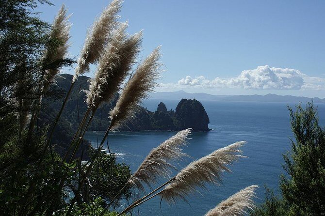 Bay of Islands 2-Day Small Group Tour & Cruise from Auckland - Opononi Lunch Break Over Hokianga Harbour: Plan for Food On Your Terms