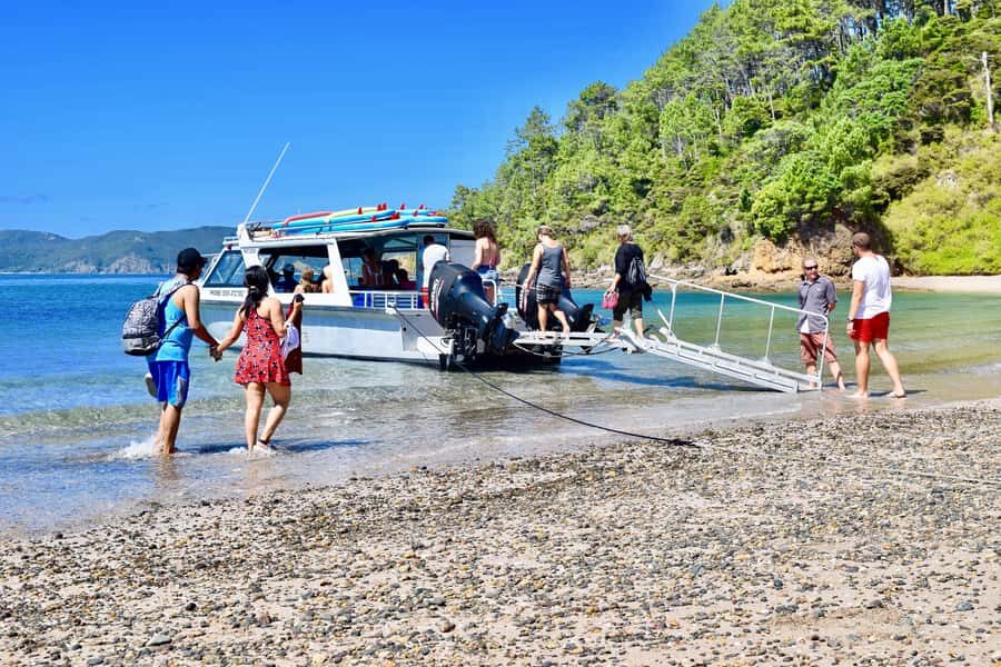 Bay of Islands: 4.5 Hour Day Cruise and Island Getaway Tour - Small-group cruising: less crowd noise, more animal watching