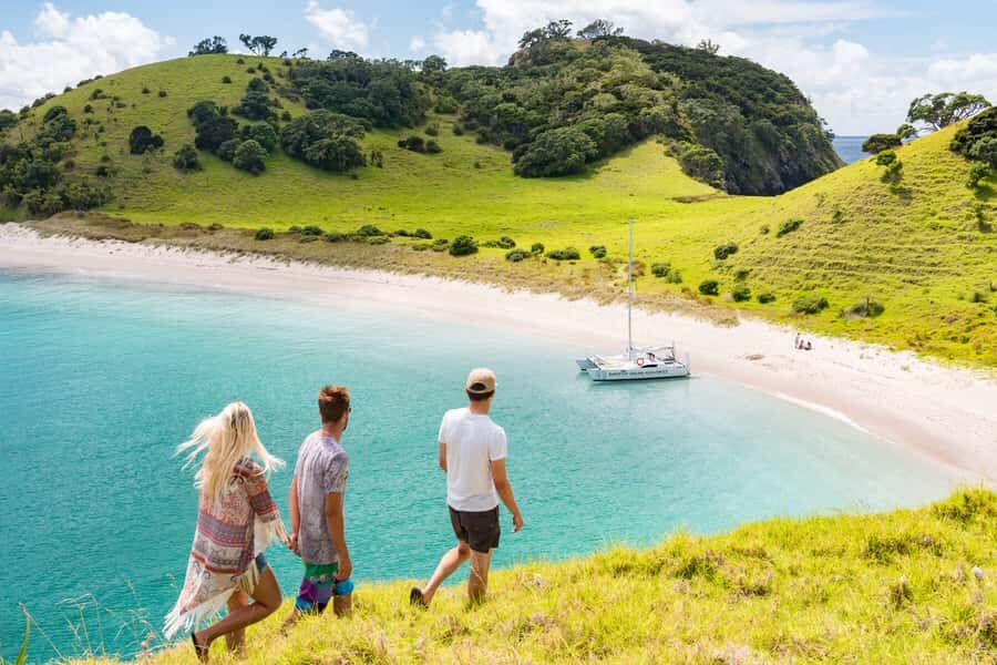Bay of Islands: Catamaran Sail, Wildlife Island & Lunch - Key things that make this catamaran sail worth your time