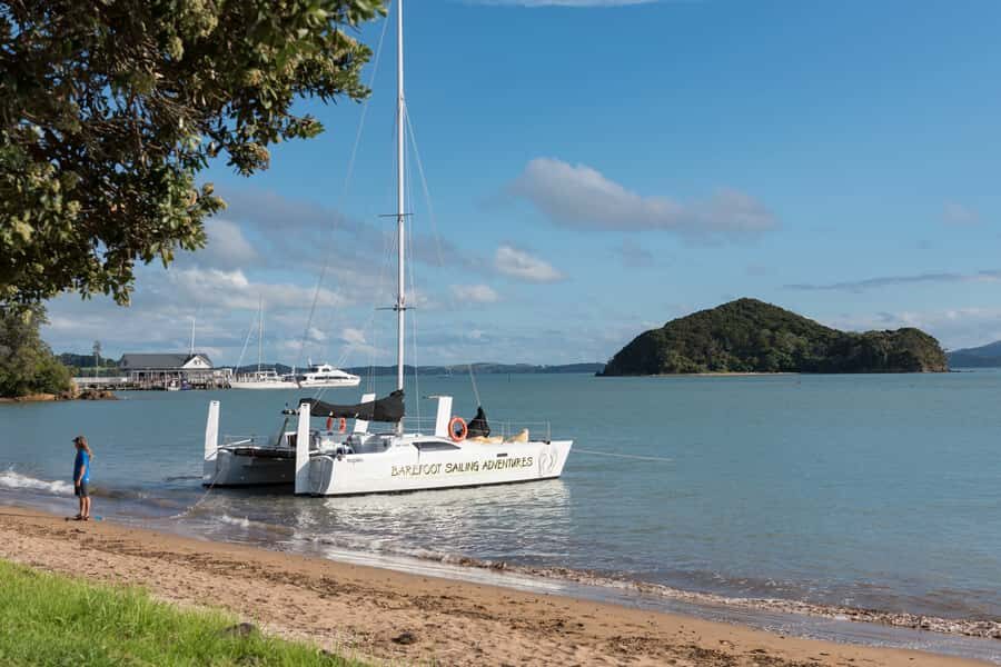 Bay of Islands: Catamaran Sail, Wildlife Island & Lunch - Paihia start: where the boat is already waiting