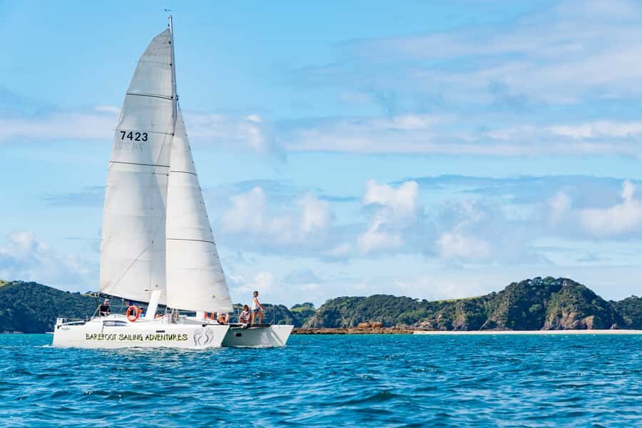 Bay of Islands: Catamaran Sail, Wildlife Island & Lunch - The wildlife sanctuary stop: 2 hours where you actually get off the boat