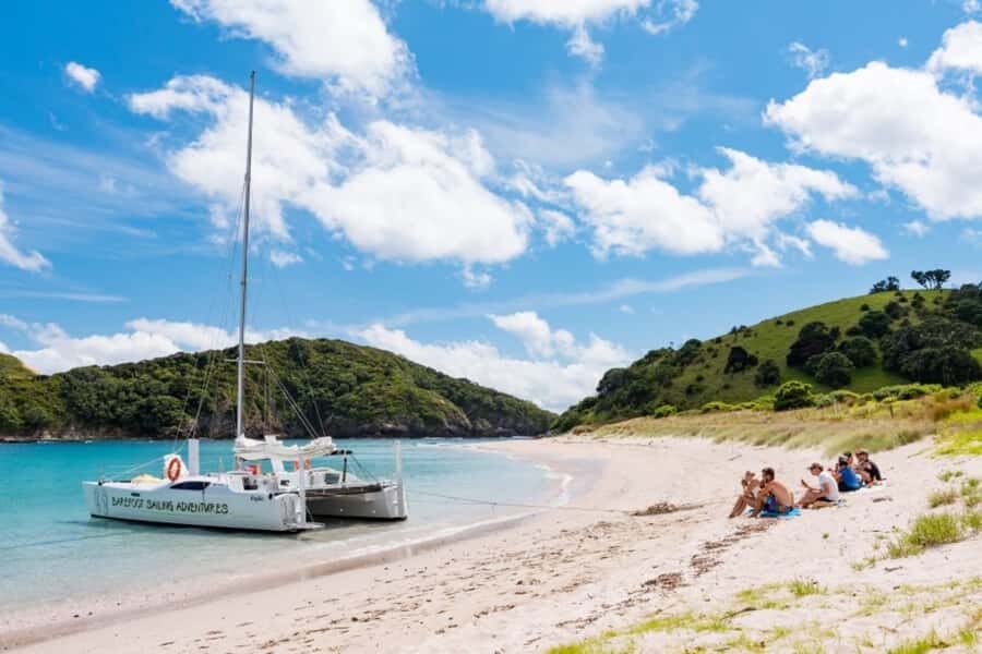 Bay of Islands: Catamaran Sail, Wildlife Island & Lunch - Lunch on the beach: picnic food, not a rushed meal