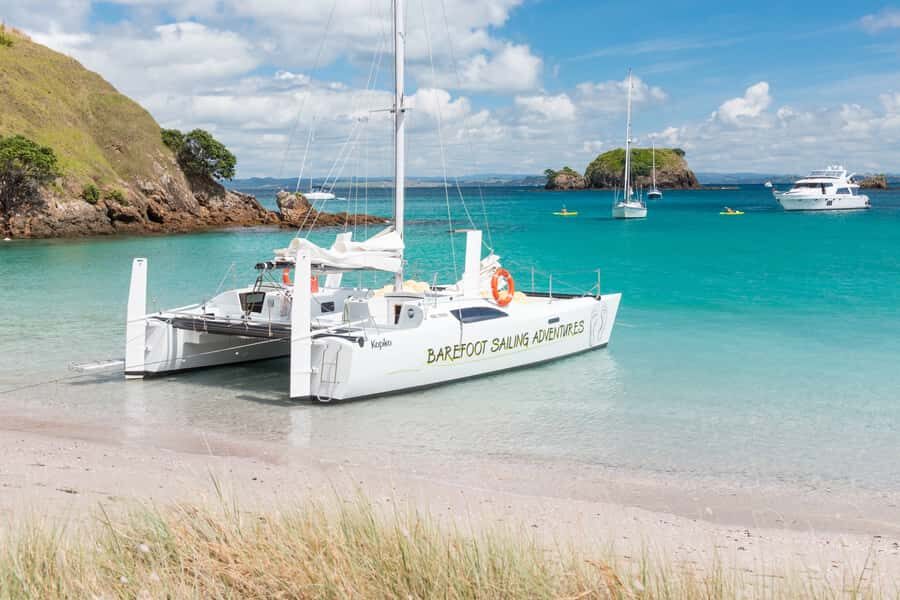 Bay of Islands: Catamaran Sail, Wildlife Island & Lunch - Comfort on deck: bean bags, shade choices, and a slower pace