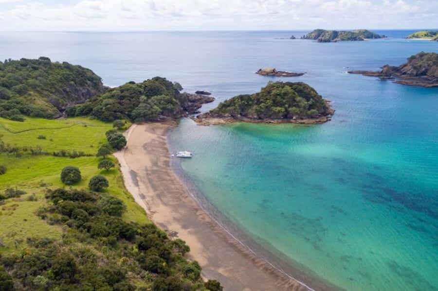 Bay of Islands: Catamaran Sail, Wildlife Island & Lunch - Price and value: what $134 buys in a 6-hour day