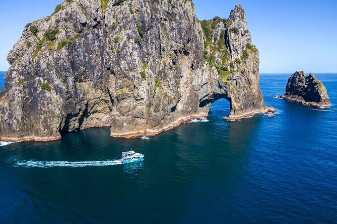 Bay of Islands Cruise & Island Tour - Snorkel, Hike,Swim,Wildlife - Key highlights worth planning around