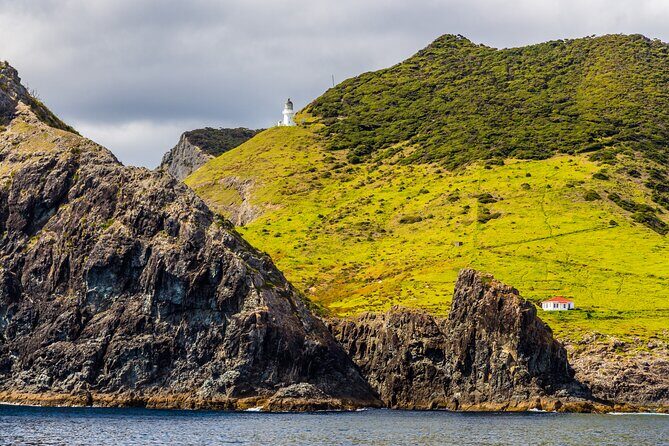 Bay of Islands Cruise & Island Tour - Snorkel, Hike,Swim,Wildlife - Roberton Island and the twin lagoons walk: the best views-per-effort stop