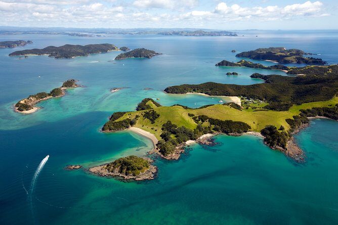 Bay of Islands Cruise & Island Tour - Snorkel, Hike,Swim,Wildlife - The second island stop (Waewaetorea / Moturua / Urupukapuka): snorkeling and swimming time