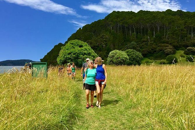 Bay of Islands Cruise & Island Tour - Snorkel, Hike,Swim,Wildlife - What you should bring so the day feels easy