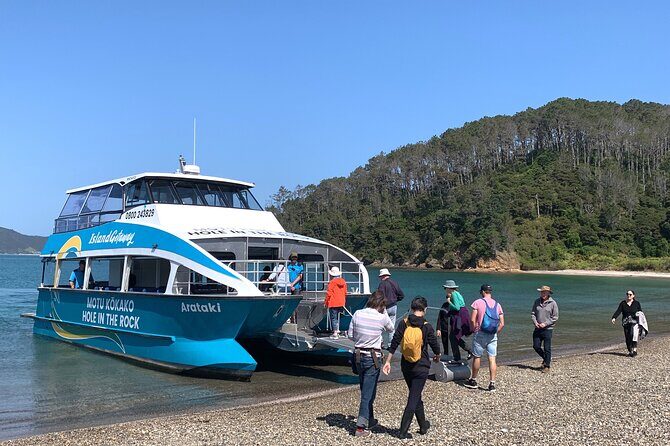 Bay of Islands Cruise & Island Tour - Snorkel, Hike,Swim,Wildlife - Cruising among 144 islands: the part where you learn what to watch