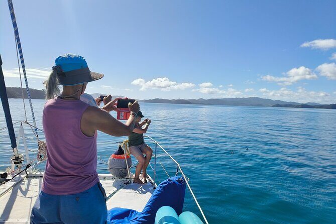 Bay of Islands: Day Sailing Cruise with Island Stop and Lunch - Timing that keeps the day from dragging