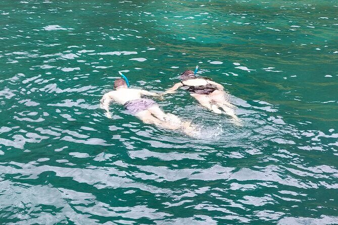 Bay of Islands: Day Sailing Cruise with Island Stop and Lunch - Who this Bay of Islands day sail is best for