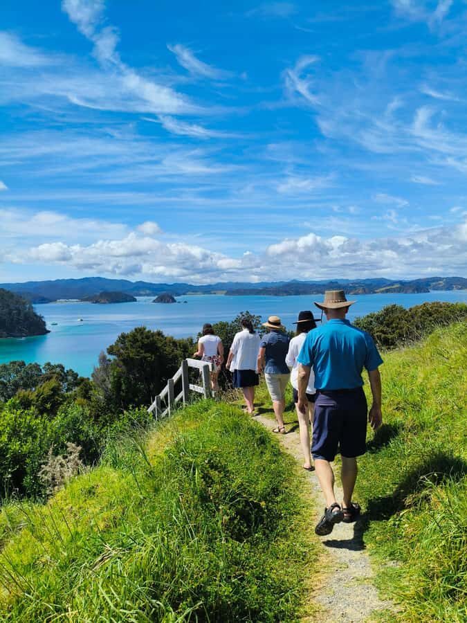 Bay of Islands: Day Sailing Cruise with Island Stop & Lunch - Key highlights worth planning around
