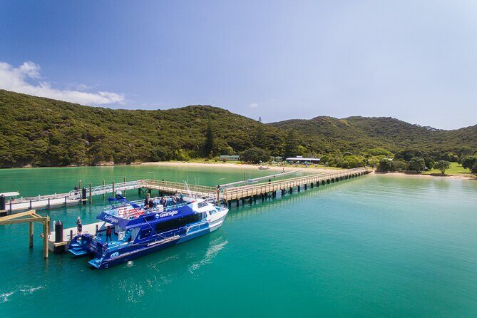 Bay of Islands Discovery Experience from Auckland incl. Hole In The Rock Cruise - Auckland to Paihia in a private, WiFi-equipped minibus
