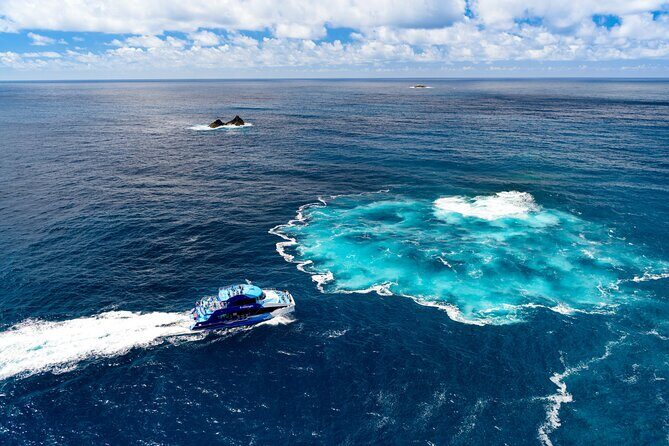 Bay of Islands Explorer Experience Small Group Tour From Auckland - The Bay of Islands payoff: why this day trip feels worth the long drive