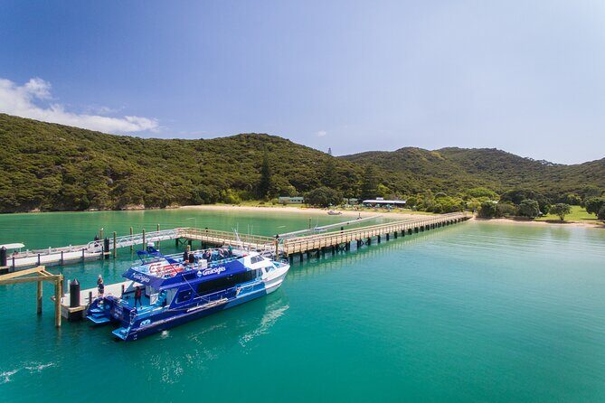 Bay of Islands Explorer Experience Small Group Tour From Auckland - Kawakawa and the Hundertwasser public toilets: a quirky stop with real charm