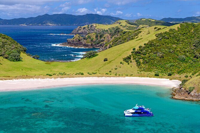 Bay of Islands Explorer Experience Small Group Tour From Auckland - Price and value: what you’re really paying for at $294.77