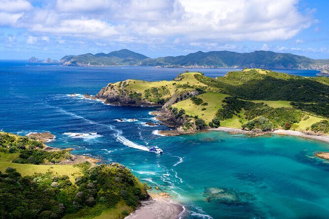 Bay of Islands Explorer Experience Small Group Tour From Auckland - What the day feels like, hour by hour (so there are no surprises)