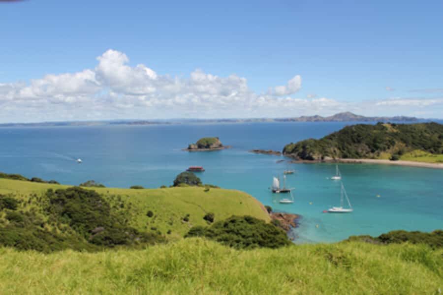 Bay of Islands: Full-Day Tall Ship Sailing Excursion - Under sail in the Bay of Islands: helm time, rigging climbs, and wind reality