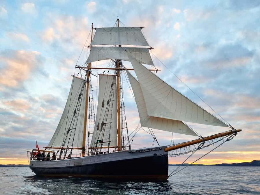 Bay of Islands: Late Afternoon Sailing Cruise - Getting on board: hoisting sails, steering, and climbing rigging
