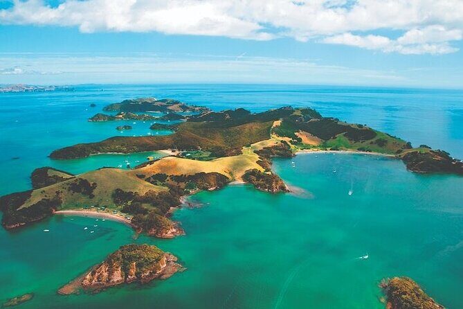 Bay of Islands Private Tour - Paihia and the catamaran: your 4.5 hours of dolphins and island scenery