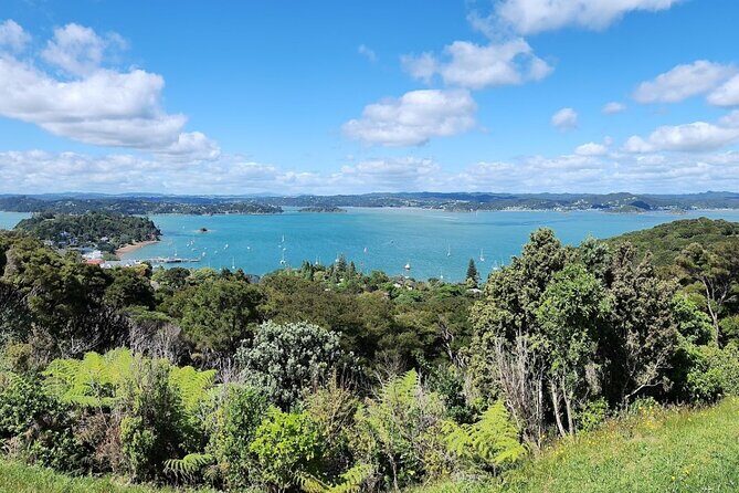 Bay of Islands Scenic Tour - Russell Start: Easy Morning Timing and a Real Place to Begin