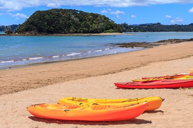 Bay of Islands Scenic Tour - Haruru Falls Photo Break: Short Stop, Strong Payoff