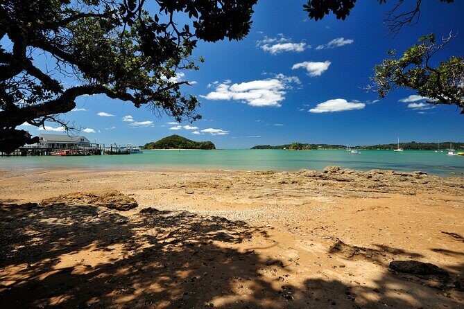 Bay of Islands Scenic Tour - Paihia to Opua: Where the Town Energy Shifts Toward the Marina