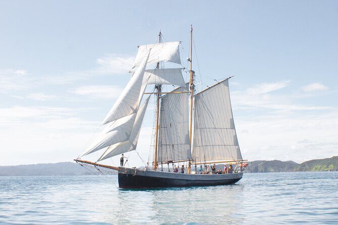 Bay of Islands Tall Ship Sailing on R. Tucker Thompson Including BBQ Lunch - 5.5 hours on deck: wind, sailing work, and wildlife scanning