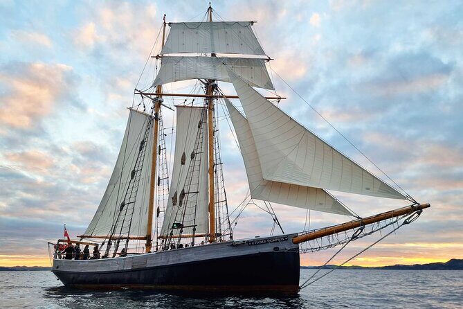 Bay of Islands Tall Ship Sundowner Sailing - Key highlights to know before you go