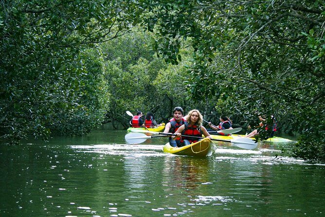 Bay of islands Waterfall Cruise Kayaking Tour - Where You Paddle: Waitangi’s Bay of Islands Waterways
