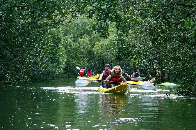 Bay of islands Waterfall Cruise Kayaking Tour - The Waterfall Drop Into the Sea: Your Payoff Moment