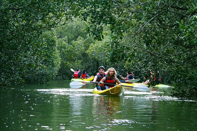 Bay of Islands Waterfall Explorer Kayaking Tour - Guides and safety: what matters once you’re on the water