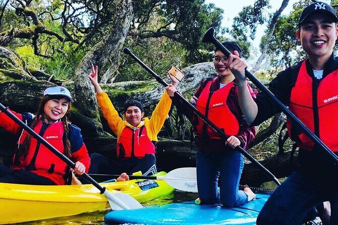 Bay of Islands Waterfall Explorer Kayaking Tour - Price and value at $67.02: what you’re actually paying for