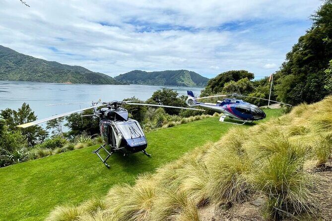 Bay of Many Coves, Marlborough Sounds- Heli-lunch from Wellington - Price check: is $660.91 really “worth it”?