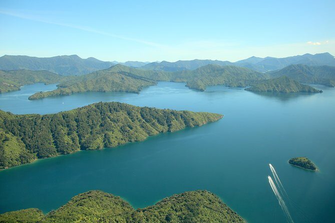 Bays and Bush Flight Scenic Tour - Key things worth knowing before you go