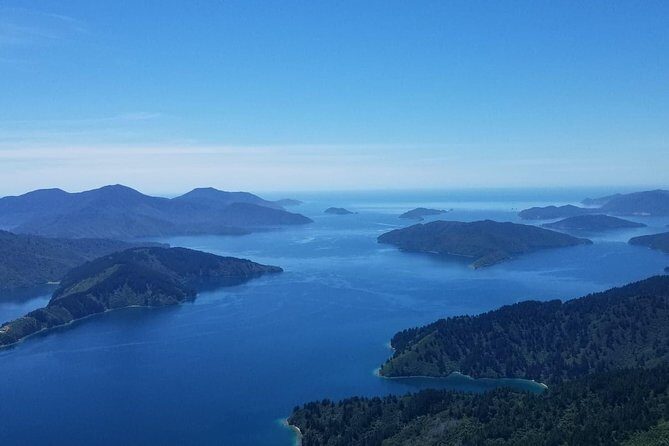 Bays and Bush Flight Scenic Tour - From Picton Aerodrome to the cockpit: timing, pickup, and what to expect