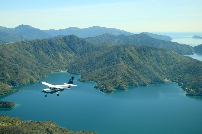 Bays and Bush Flight Scenic Tour - Outer Sounds and Tory Channel: what you’ll notice once you’re over the water