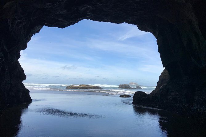 Beautiful Nature Tours Auckland - Private Tour - Kumeu Wine Region and Ocean-Time Picnic: Expect Flavor, Not a Full Meal