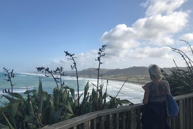 Beautiful Nature Tours Auckland - Private Tour - Wildlife Beyond Gannets: Seals, Dolphins, and What to Watch For