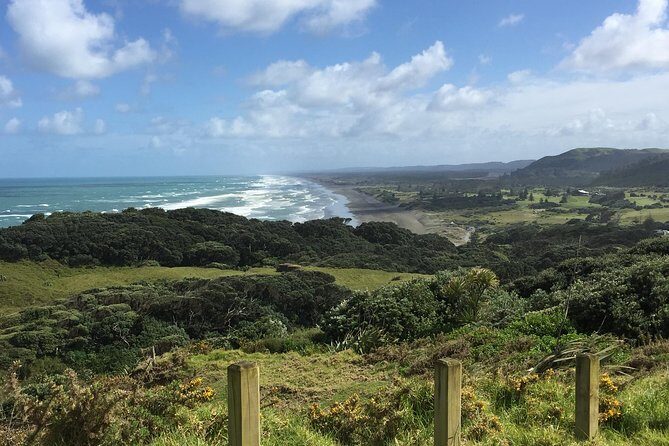 Beautiful Nature Tours Auckland - Private Tour - Price and Logistics: What $304.08 Gets You (and Why It’s Not Just a Drive)