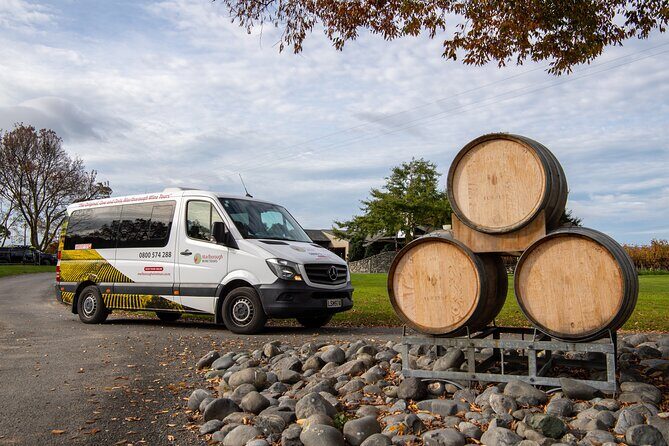 Beyond the Vines - Full-Day Marlborough Wine Tasting Tour - Picton or Blenheim Pick-Up: Comfort, Timing, and Where You Fit It
